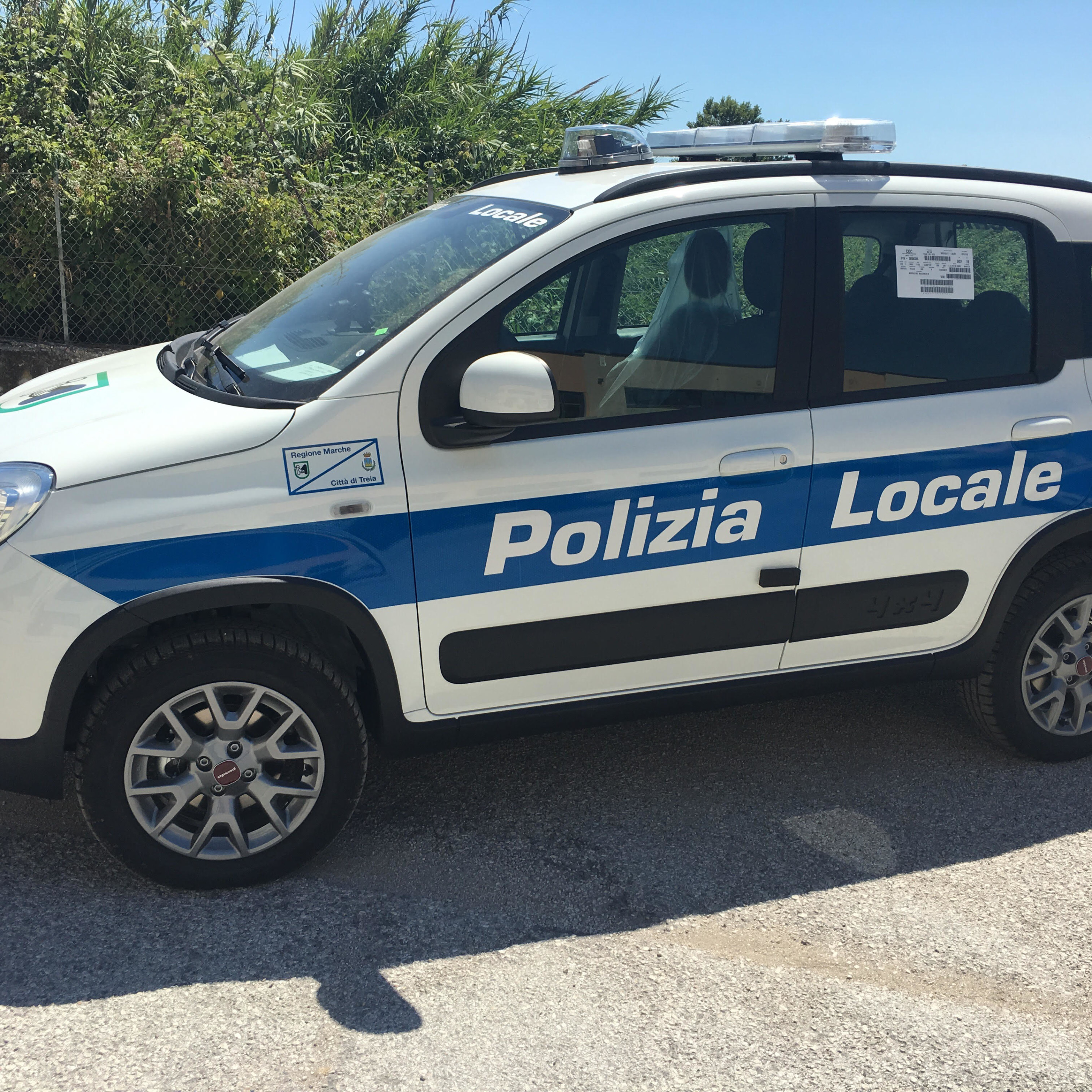 allestimento veicolo polizia locale - allestimento esterno base - fiat panda regione marche - celiani allestimento veicoli speciali